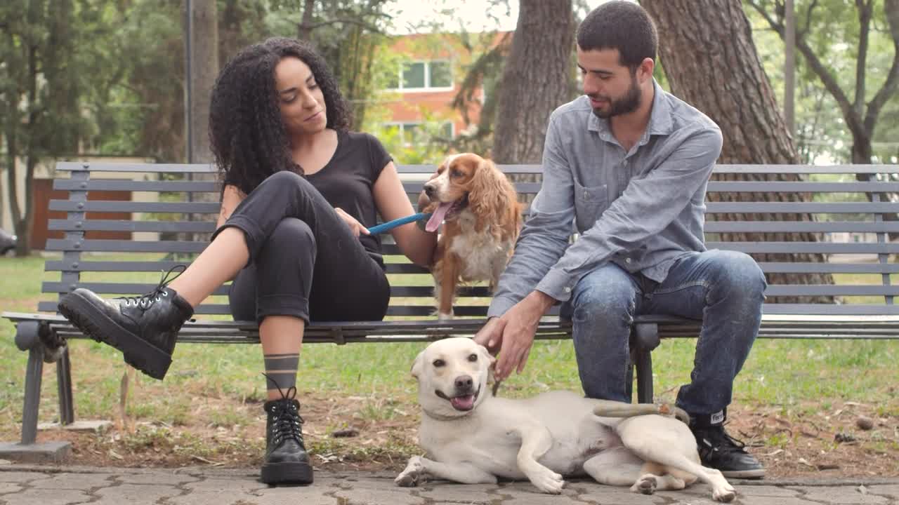 Couple with dogs resting on park bench