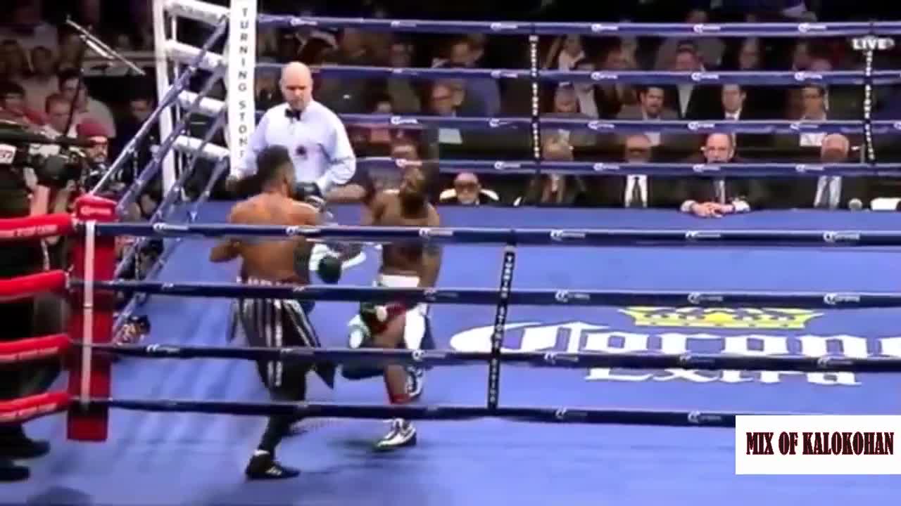 Best Funny Moments In boxing and knockouts