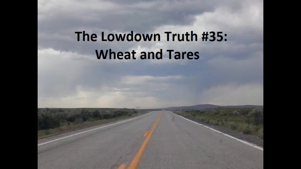 The Lowdown Truth #35: Wheat and Tares