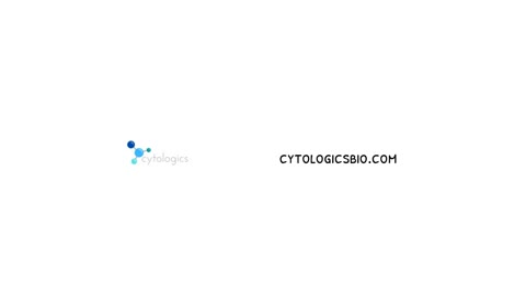 Buy PBMCs, PBMC, PBMC isolation, Pan T cells | Cytologics