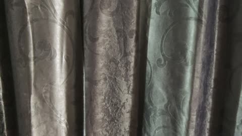 Gray curtain with abstract motif footage