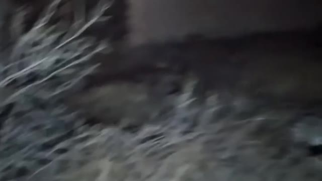 Jinn in Morocco