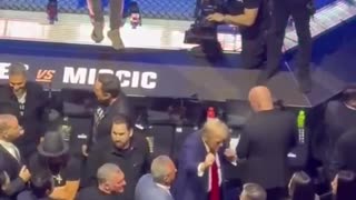 President Trump Dances to 'YMCA' at UFC 309 in Madison Square Garden