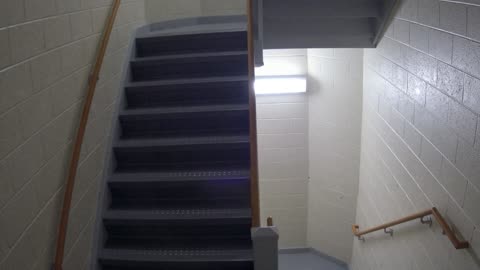 3878FHOB03Stair11_2021-01-06_19h00min03s733ms.mp4