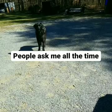 Not bad for finding her in a ditch