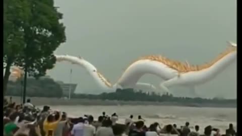 Real dragon from china