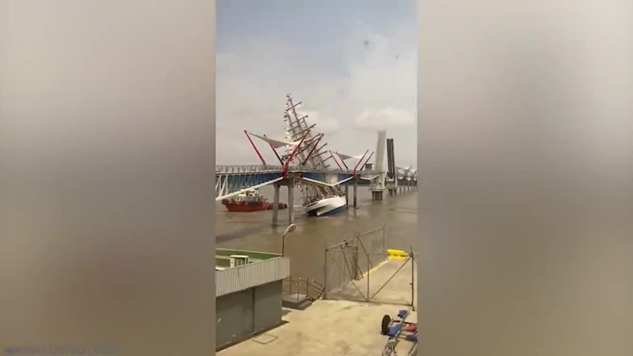 These People Should Have Stayed on Land!