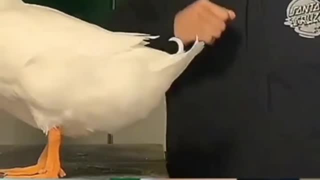 😂😂😂😂😂😂😂
