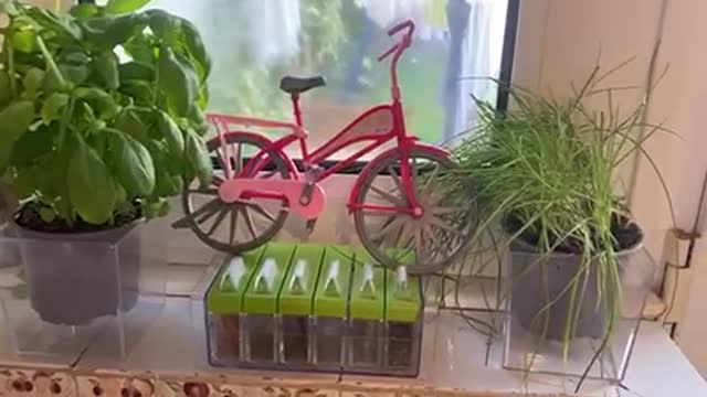 My wife Gardening project and the bicycle to deliver 😂😂😂😂