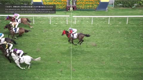 Horce_Race_2022051801_English