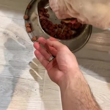 funny|prank|jokes|funny jokes|dad jokes|funny memes|funny video|fun|laughing|funny animal|knock