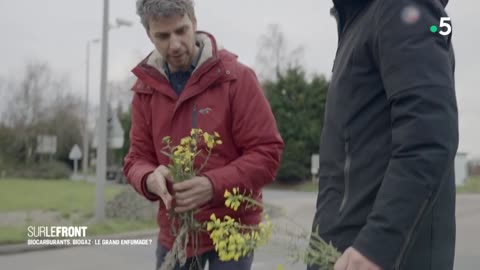 L'enfumage écologique de certains biocarburants