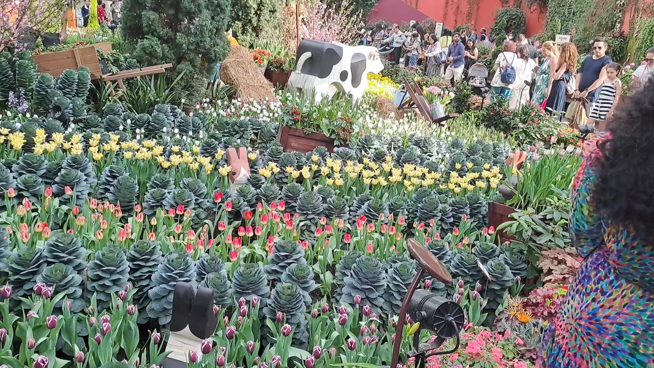 Singapore flowers dome