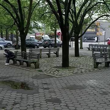 Milestone Park Bensonhurst Brooklyn