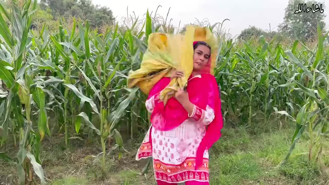 Pregnant Lady ky liye ghas ka intazam _ Village Vlogs _ Village Punjab Pakistan