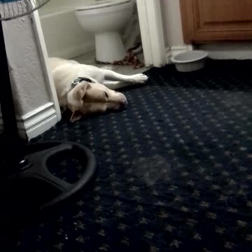 🏝️efrem clark is not available