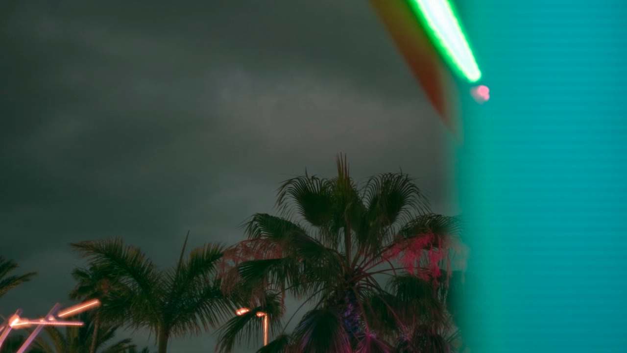 MostlyEverything- Palm Trees 🌴👀😷Nov8ive(Innovative)Sounds🔥🔌🌫