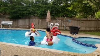 Rooster / Chicken fight