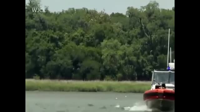 Two American cruise ships collided on the river, so that 5 people died