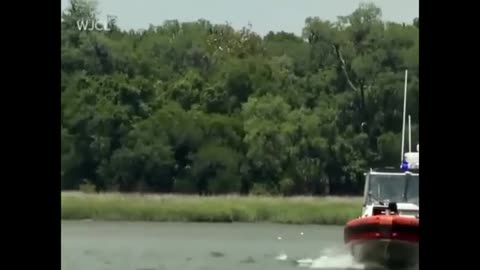 Two American cruise ships collided on the river, so that 5 people died