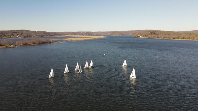 Sail Race in Essex