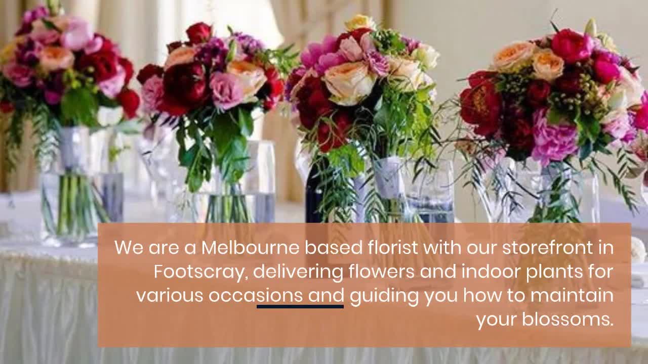 Indoor Plant Delivery Melbourne