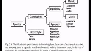 Apomixis Made Easy