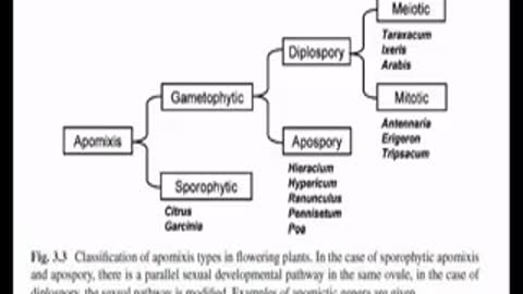 Apomixis Made Easy