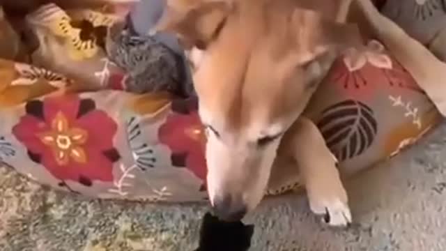 Just be careful with them! ☝️