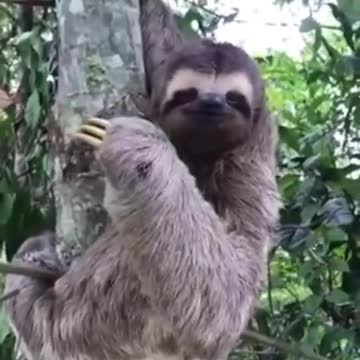 When a fren helps you get where you're going. (Added music)