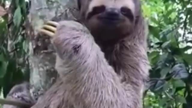 When a fren helps you get where you're going. (Added music)