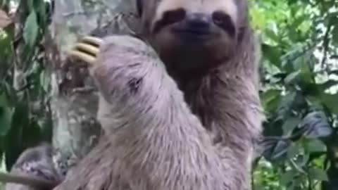 When a fren helps you get where you're going. (Added music)
