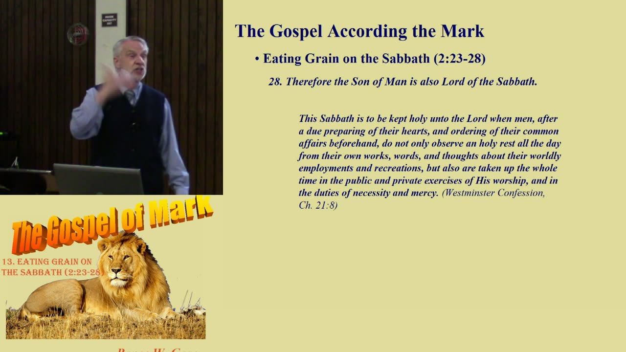 13. Eating Grain on the Sabbath (2:23-28)