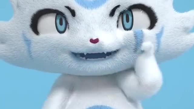 Dancing tiktok cat