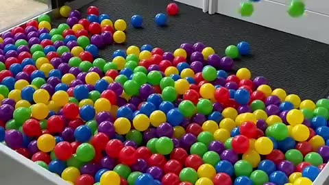 Building a Puppy Ball Pit! #cat #cute #kitten #pets #meow #videos #shorts #dog