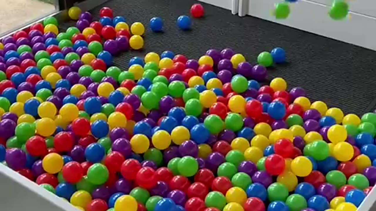 Building a Puppy Ball Pit! #cat #cute #kitten #pets #meow #videos #shorts #dog