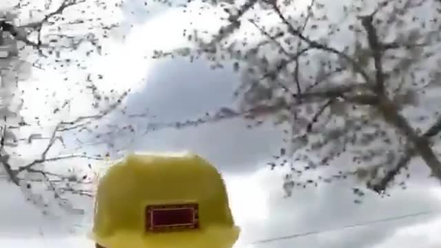 Dad of the year award goes to son.