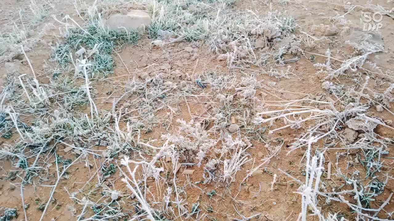 🌬️❄️❄️❄️صباحكم أجمل🌹🍀☘️🥀💌💌 و أبرد
