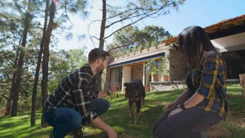 Man and woman playing with a dog in a garden