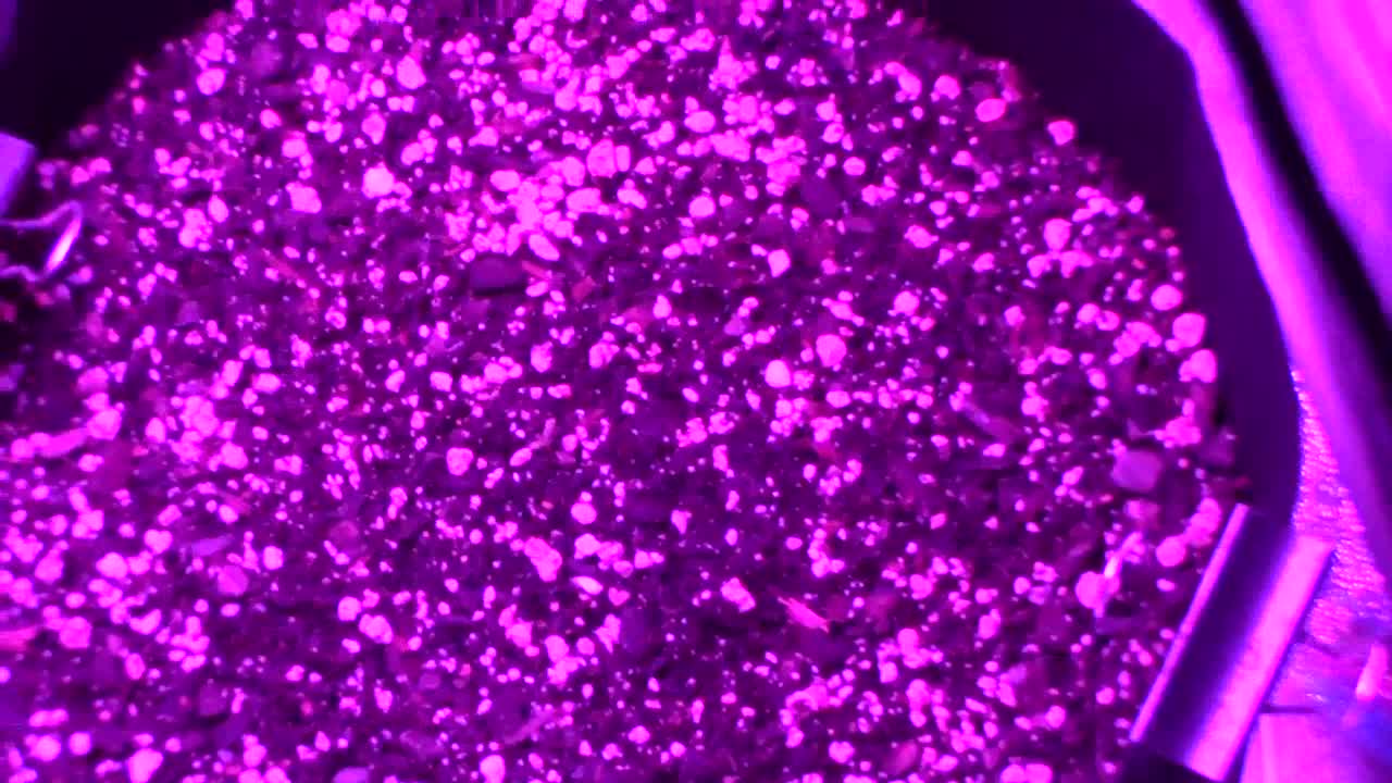 Batch # 6 of daddies growth journal