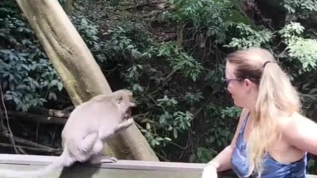 oVyou are spending yourafternoon at monkey forest in Bal