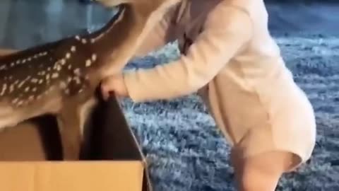 Love of cute baby and cute deer
