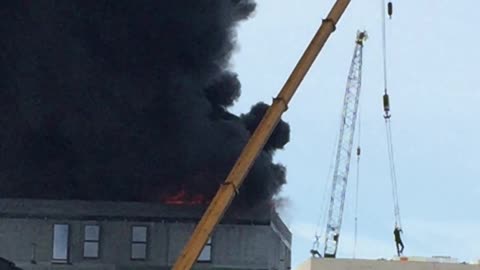 Crane Saves Man on Rooftop