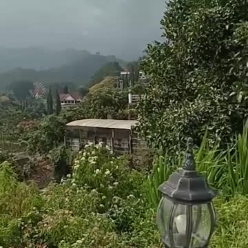 the sound of birds in the hills