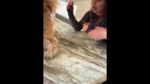 Dog Butt Prank on Kid