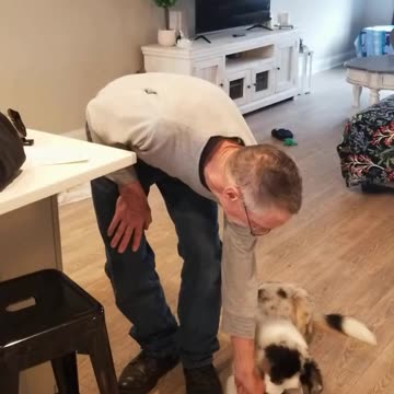 Back to the basics: Adding the Verbal cue " Stop , Back, Figure Six "