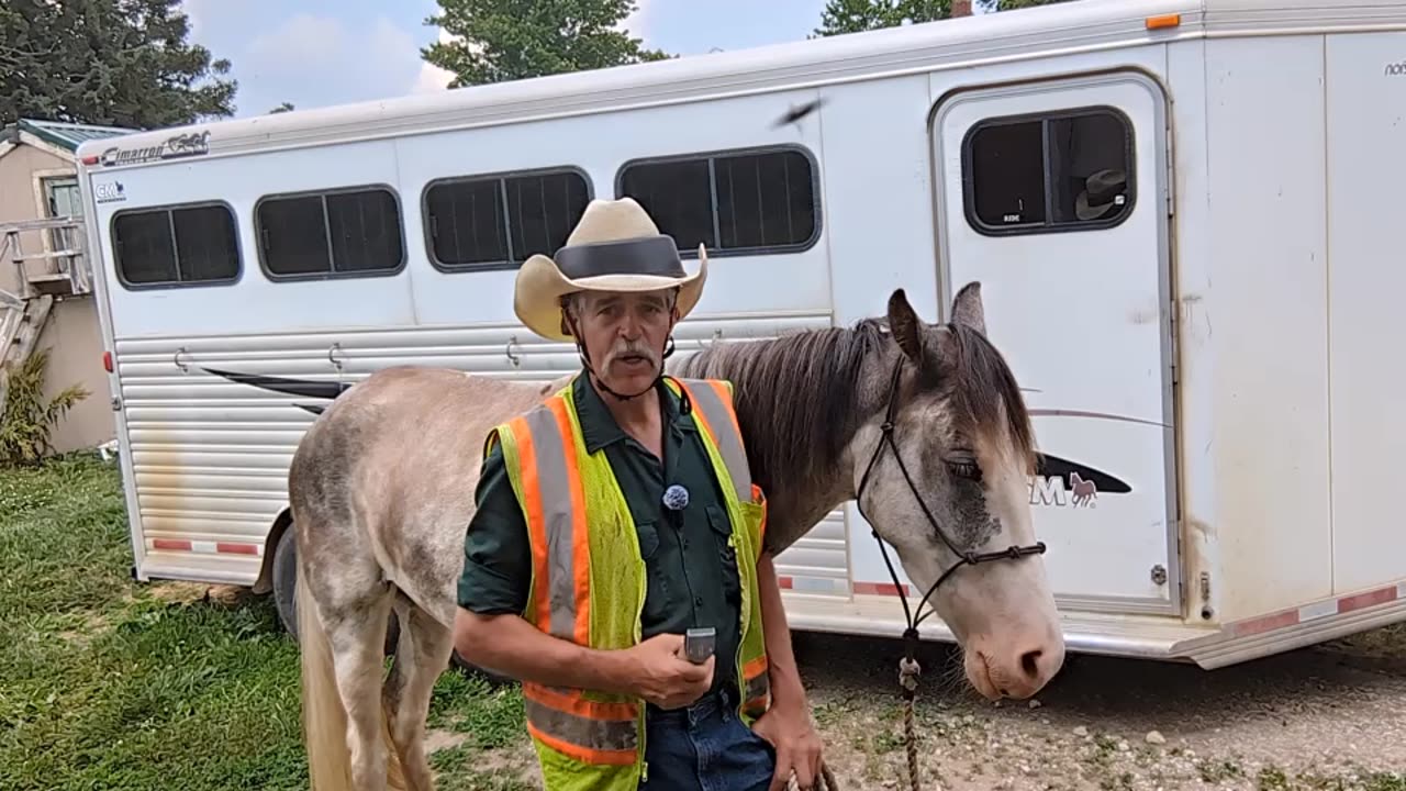 Reign - test - electric clip bridle path from both sides - 21 June 2024