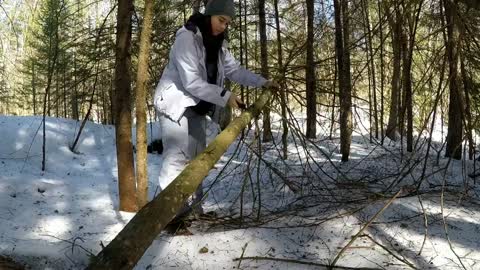 Solo Winter Bushcraft: Overnight in an Elevated Shelter-7