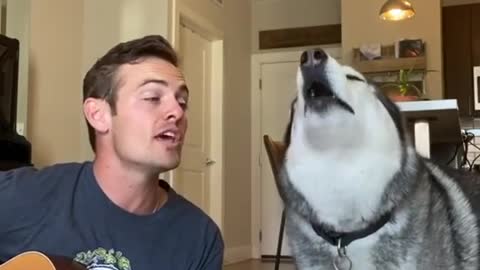 Husky singing along with his Dad!