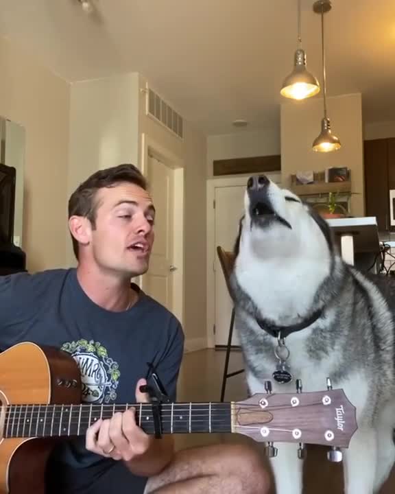 Husky singing along with his Dad!